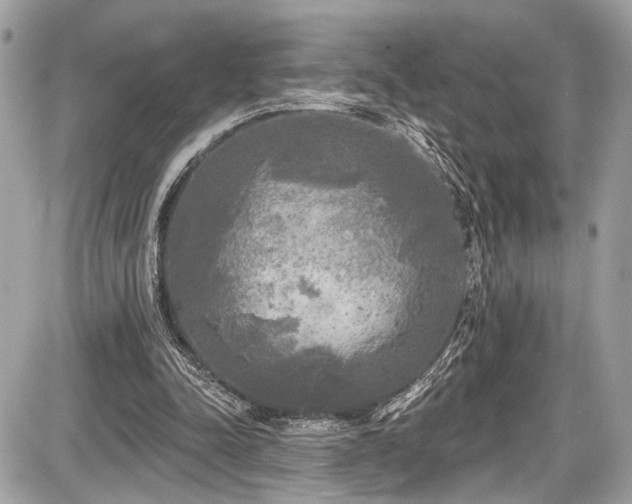X0000087510342200705040954