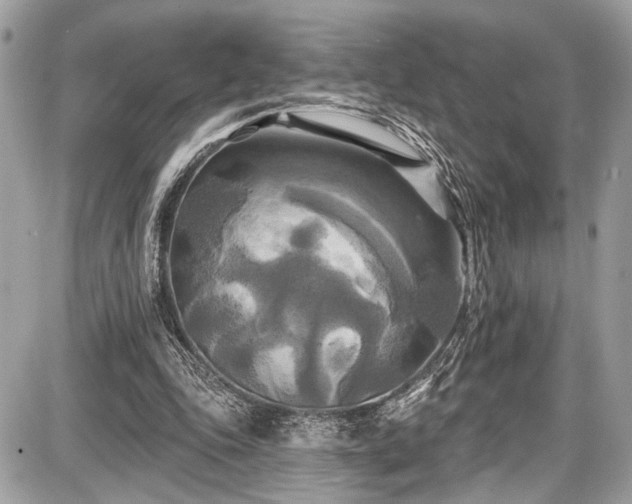 X0000087510343200705040954