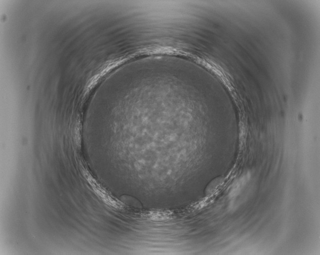 X0000087510345200705040954