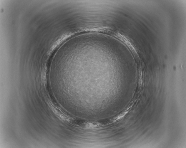 X0000087510346200705040954