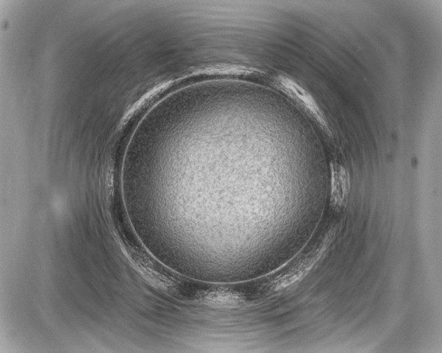 X0000087510348200705040954