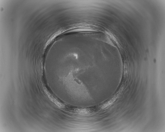 X0000087510349200705040954