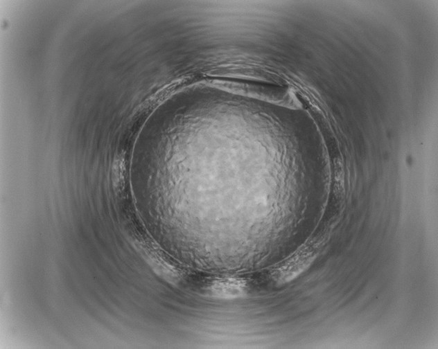 X0000087510369200705040955