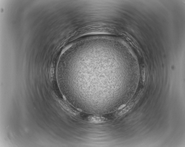 X0000087510372200705040955