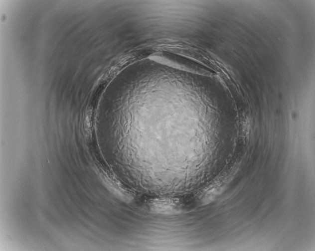 X0000087510373200705040955