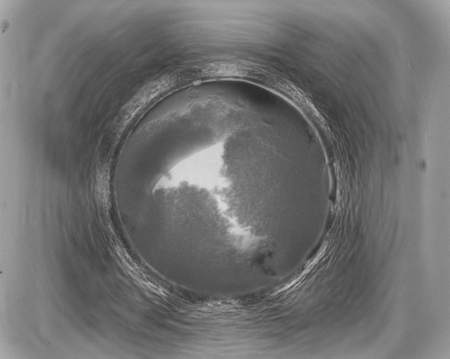 X0000087510386200705040954