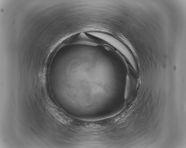 X0000087510387200705040954