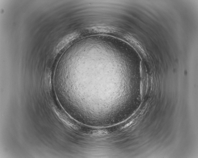 X0000087510398200705040954