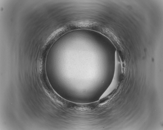 X0000087510400200705040954