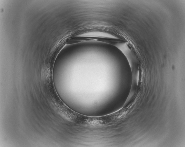 X0000087510407200705040954