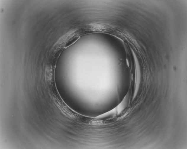 X0000087510413200705040954