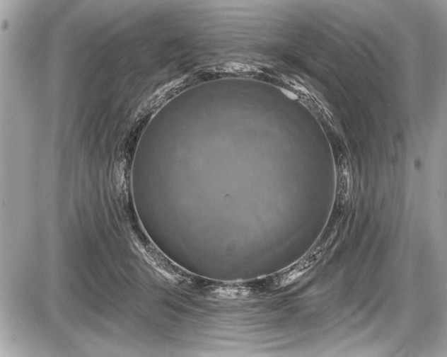 X0000087510415200705040954