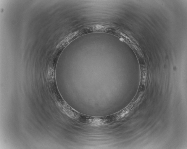 X0000087510419200705040954