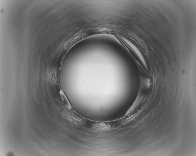X0000087510421200705040954