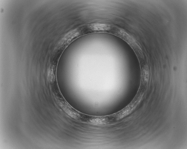 X0000087510422200705040954
