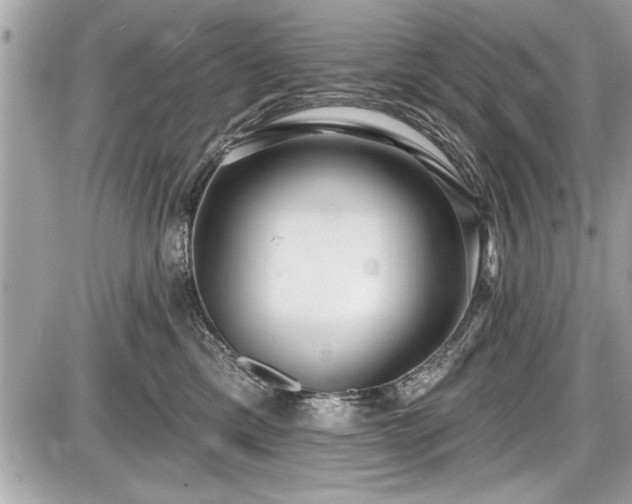 X0000087510425200705040954