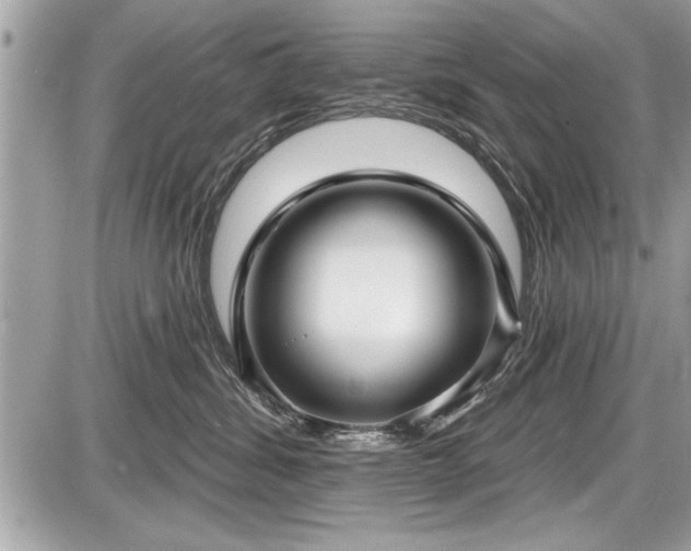 X0000087510428200705040953