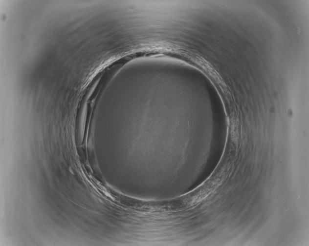 X0000087510434200705040953