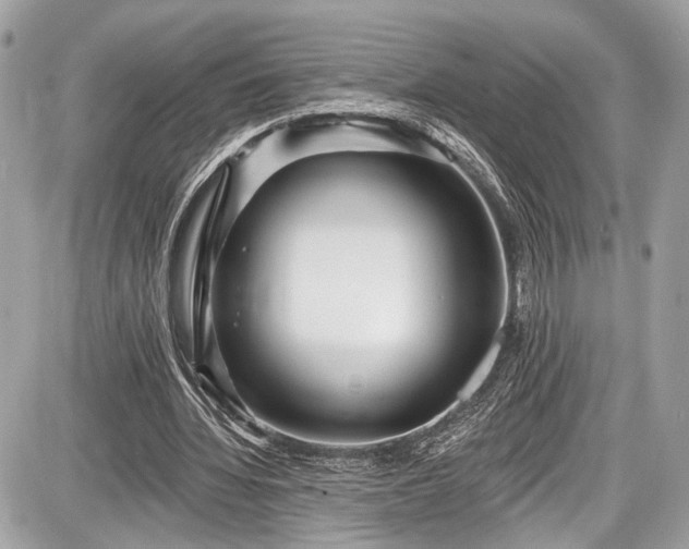 X0000087510436200705040953