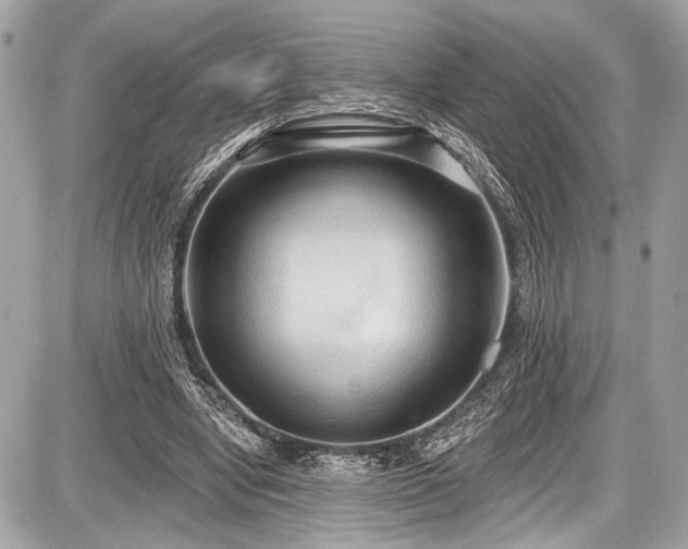 X0000087510442200705040953