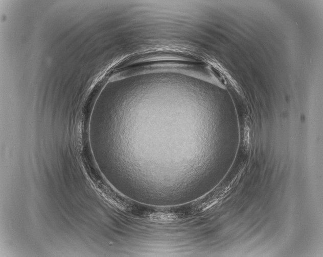 X0000087510444200705040953