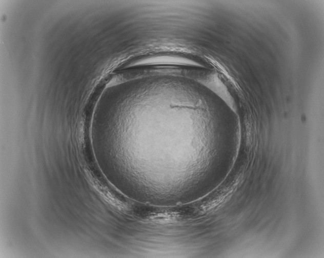 X0000087510447200705040953
