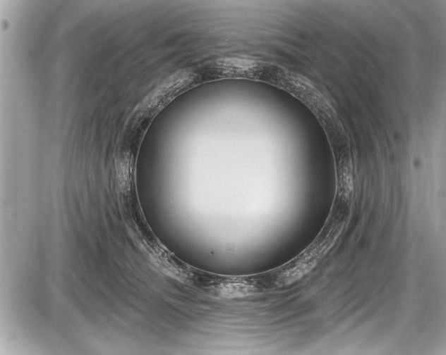 X0000087510468200705040953