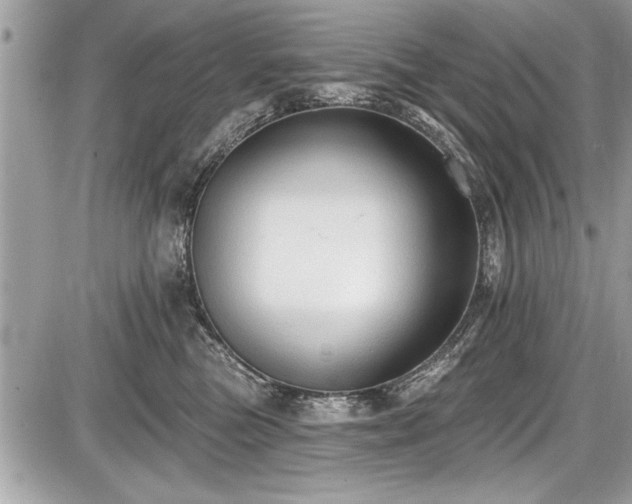 X0000087510473200705040953