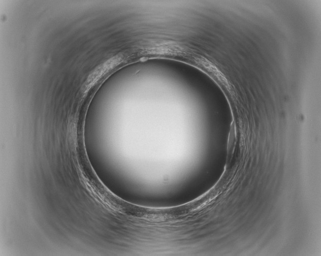 X0000087510482200705040953