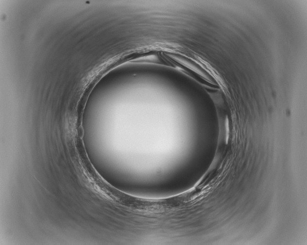 X0000087510485200705040953