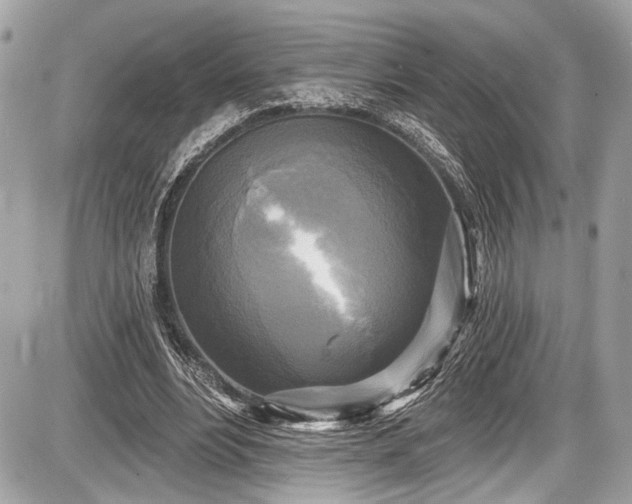 X0000087510488200705040952