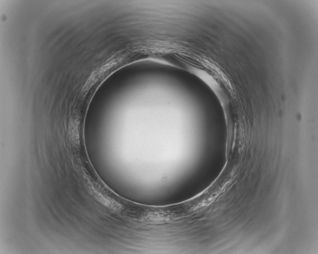 X0000087510489200705040952