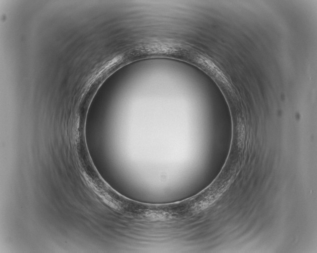 X0000087510490200705040952