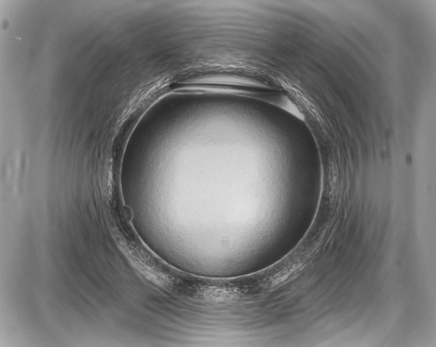 X0000087510494200705040952