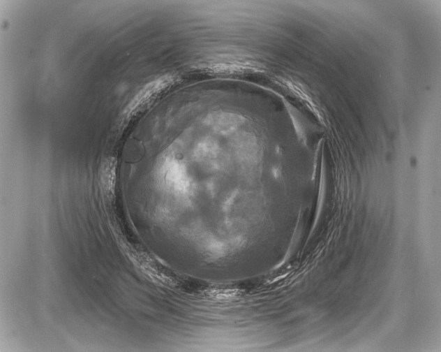 X0000087510495200705040952