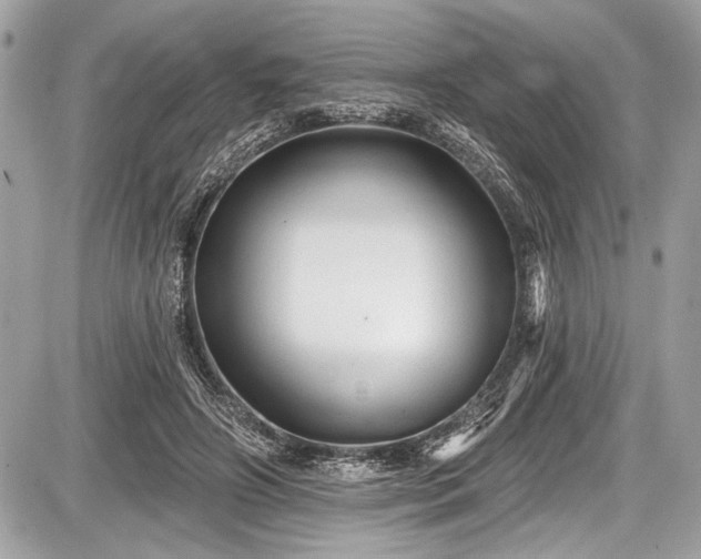 X0000087510498200705040952