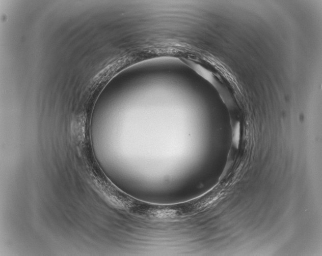 X0000087510501200705040952