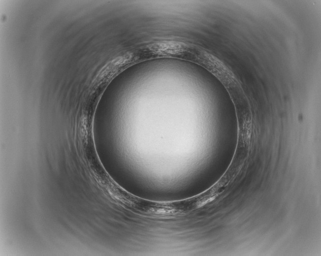 X0000087510506200705040952