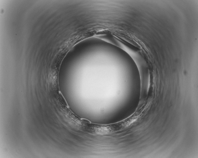 X0000087510513200705040952