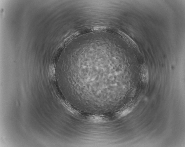 X0000087510523200705040952