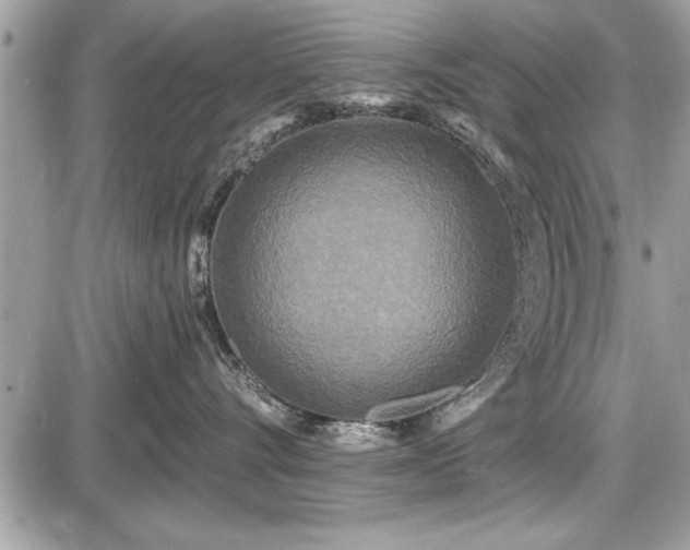 X0000087510528200705040952
