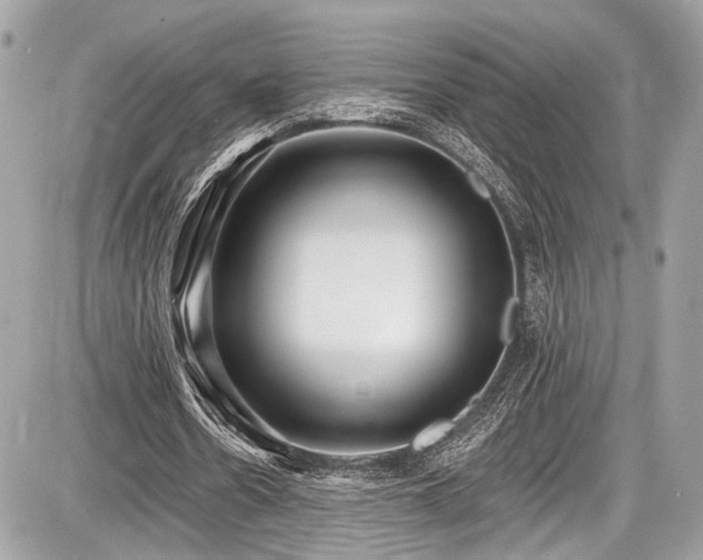 X0000087510530200705040951