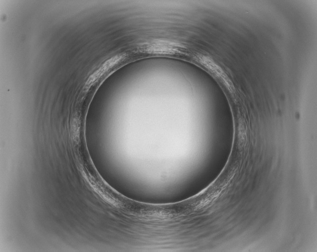 X0000087510533200705040951