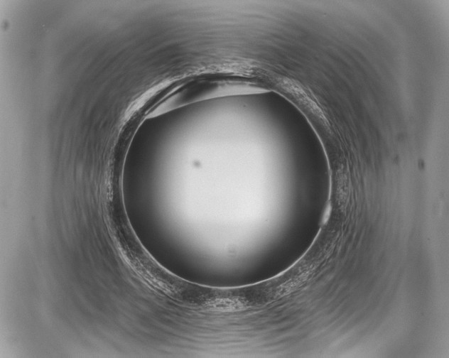 X0000087510536200705040951