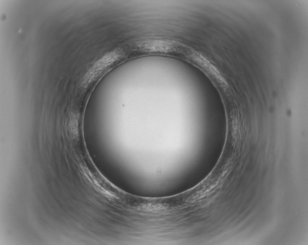 X0000087510537200705040951