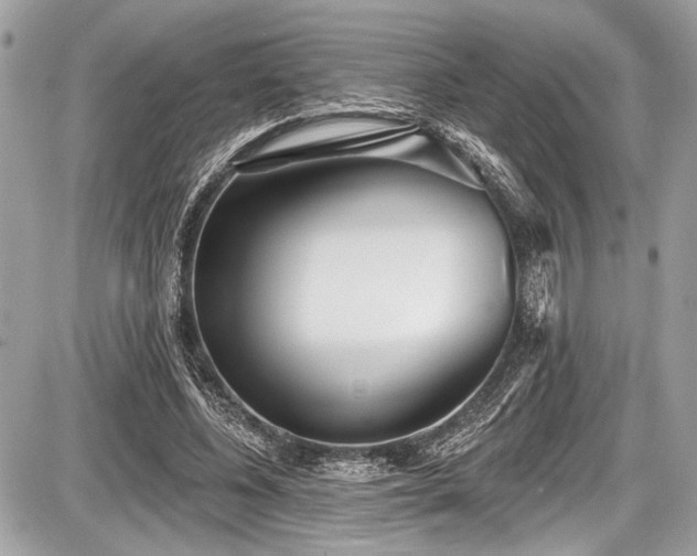 X0000087510540200705040951