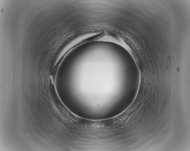 X0000087510546200705040951