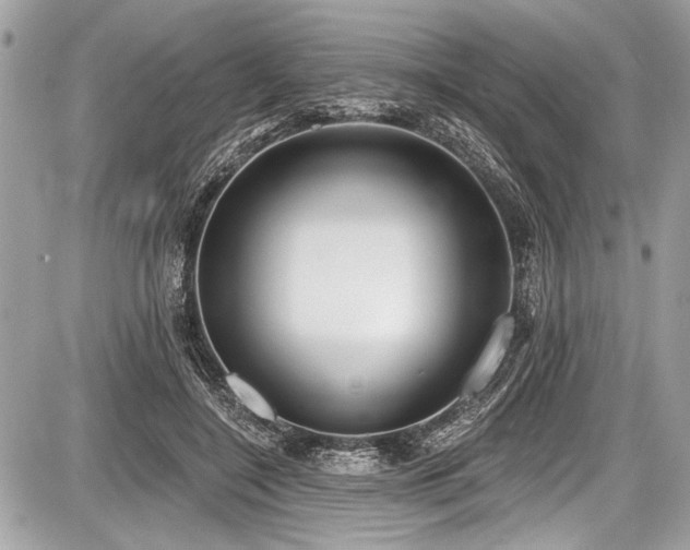 X0000087510548200705040951