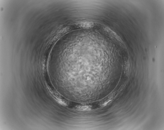 X0000087510553200705040951