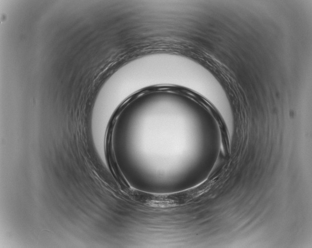 X0000087510556200705040951